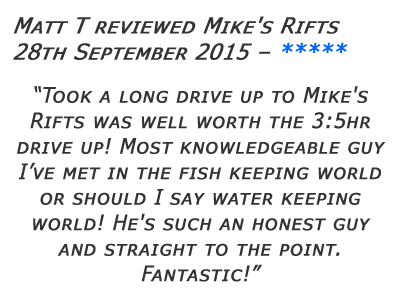 Mikes Rifts Review 3
